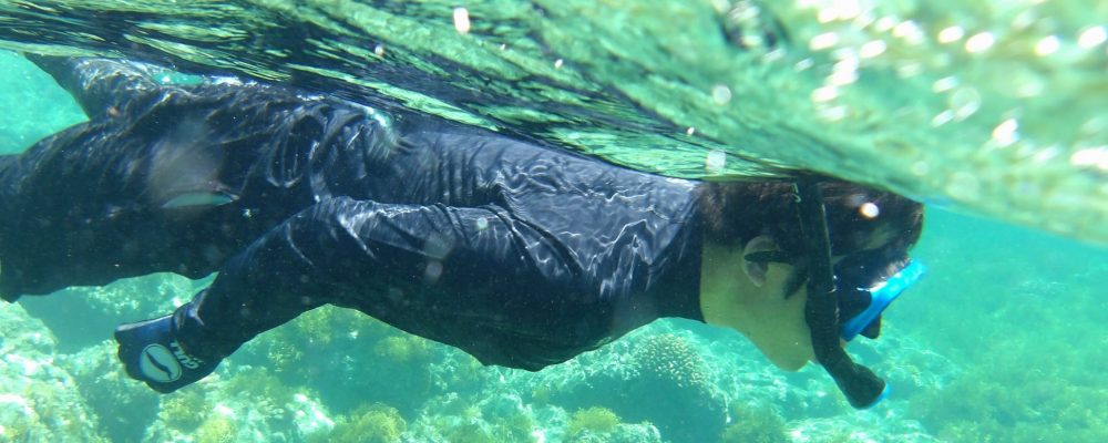 母島小中学校は東京の約1000キロ南に位置する小笠原諸島の中にある母島の豊かな自然に囲まれた場所にあります。
