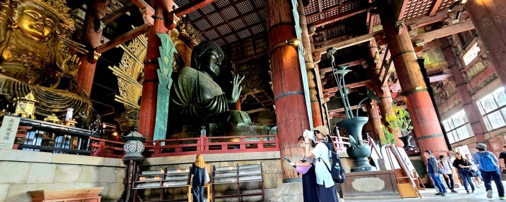 母島小中学校は東京の約1000キロ南に位置する小笠原諸島の中にある母島の豊かな自然に囲まれた場所にあります。